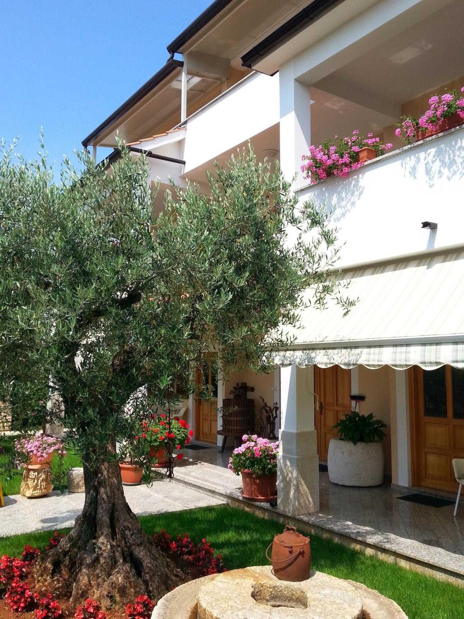 Ulika Rooms & Apartments بوريتش المظهر الخارجي الصورة