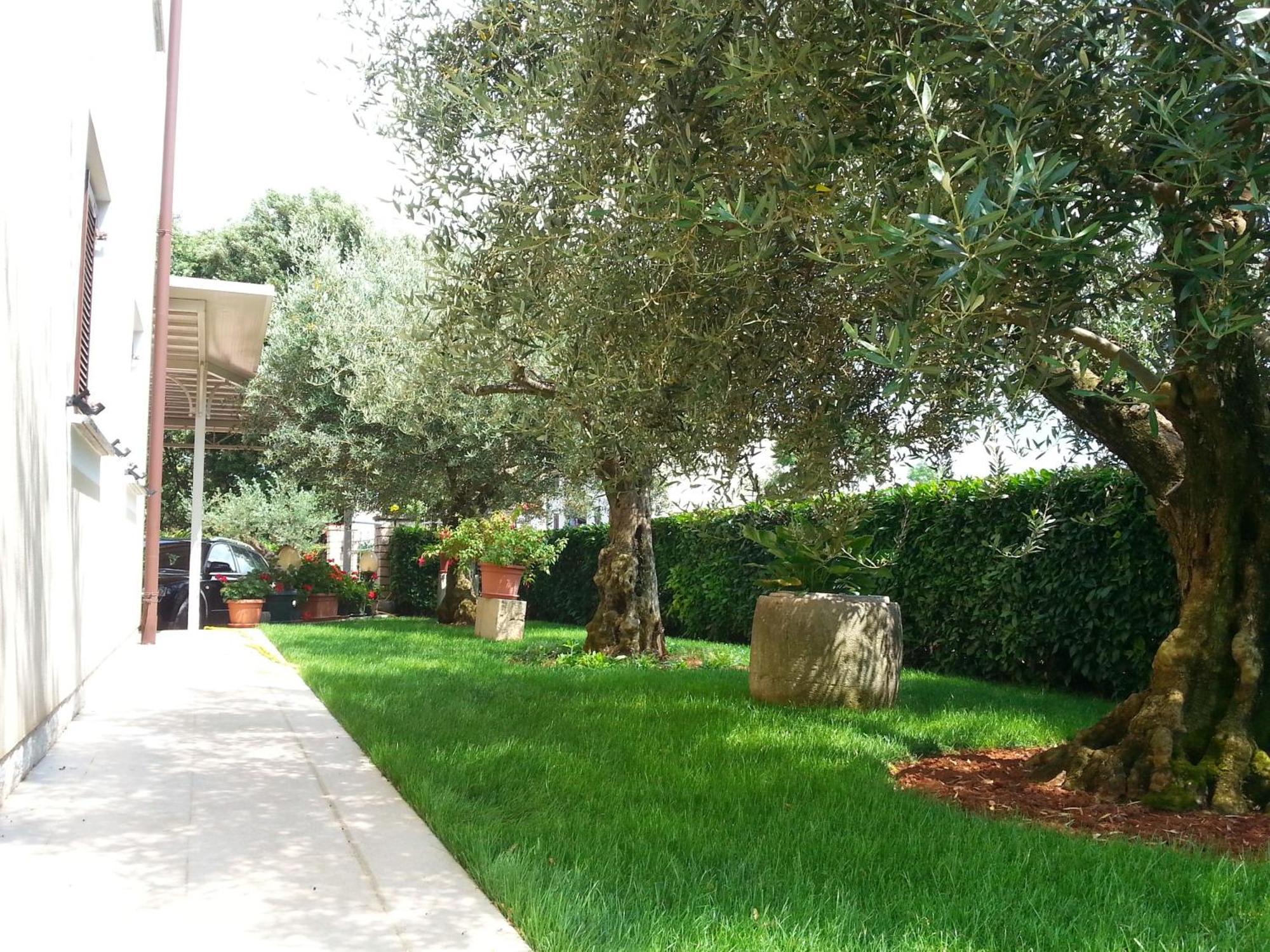 Ulika Rooms & Apartments بوريتش المظهر الخارجي الصورة