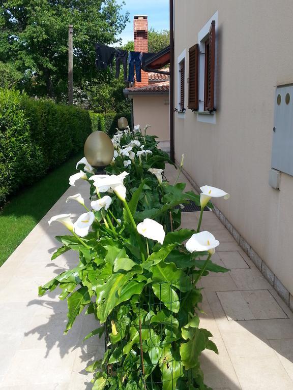Ulika Rooms & Apartments بوريتش المظهر الخارجي الصورة